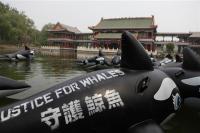 Greenpeace balene giappone