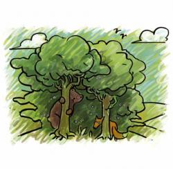 biodiversit