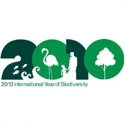 2010 anno biodiversita