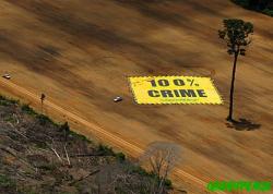 Amazzonia: 100 per 100 criminali