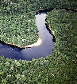 foresta amazzonica