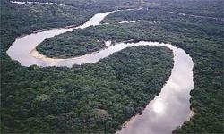 Amazzonia