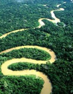 foresta amazzoniaca peruviana 