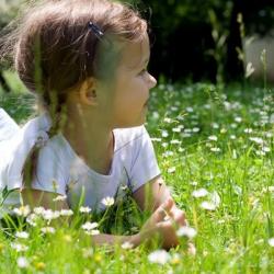 bambini parco animali educazione