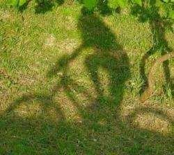 Bici Cassinetta