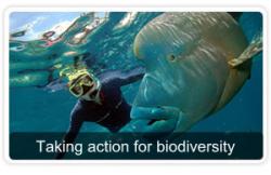 mare specie biodiversita estinzione