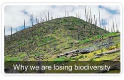 biodiversita uomo natura