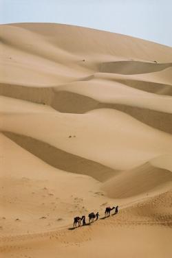 carovane deserto sahara