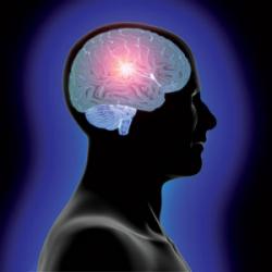 Morte cerebrale cervello