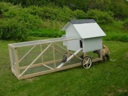 chicken tractor