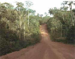 nike geox amazzonia deforestazione