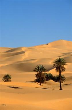 Deserto deserto agricoltura