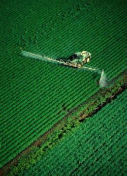 campi fertilizzanti pericoli