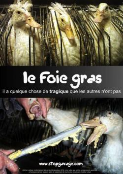 fois gras allevamenti oche