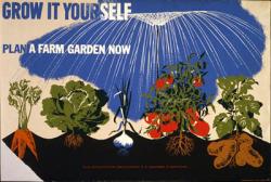 Victory Garden