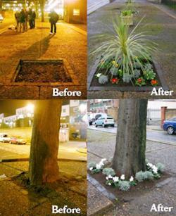 Guerrilla gardening