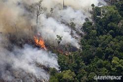 Incendi Amazzonia