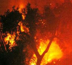 fuoco roghi estate