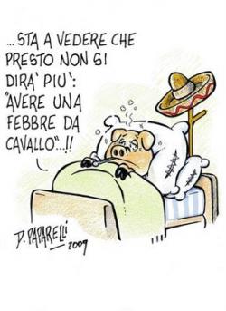 inflenza vaccino 