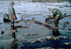 inquinamento petrolio coste louisiana