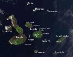galapagos arcipelago ecuador