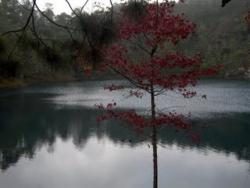 laguna laghi montebello