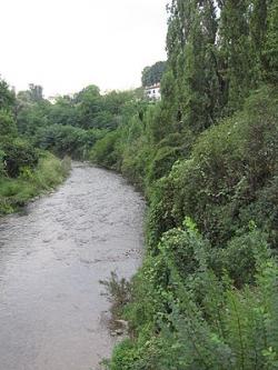 lambro po wwf