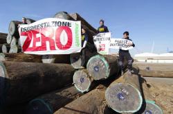 legname illegale greenpeace