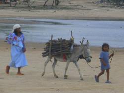 momenti comunita wayuu colombia