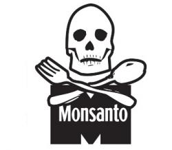 monsanto 