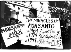Manifestazione Monsanto