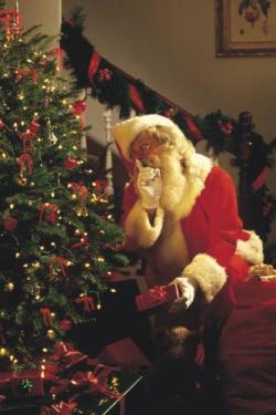 Babbo Natale natale consumi regali