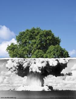 nucleare italia