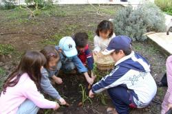 orto scuole bambini