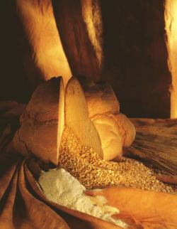 parne forno