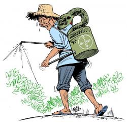 Pesticidi molto nocivi