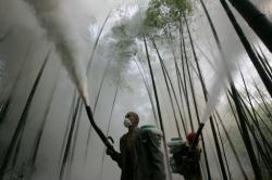 pesticidi rapporto legambiente