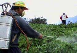 Pesticidi