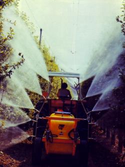 pesticidi fertilizzante salute