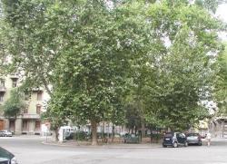 piazzale lavater milano
