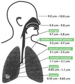pm10 particelle
