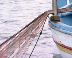 rete pesca illegale mediterraneo