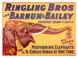 ringling brothers