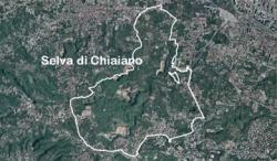 selva chiaiano rifiuti