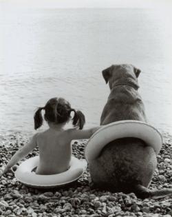 cane bambina spiaggia divieti