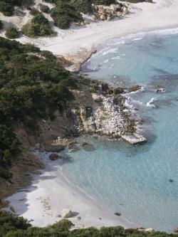 cala giunco