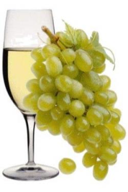 vino bianco