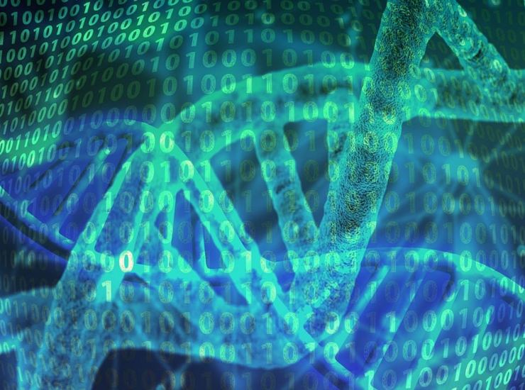 DNA 