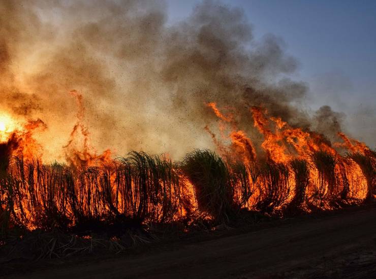 Incendio 