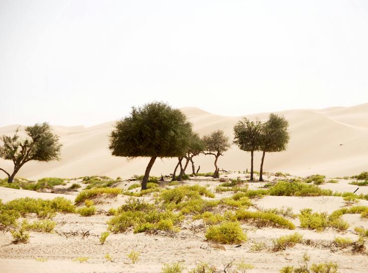 Oman (pexels.com) - terranauta.it